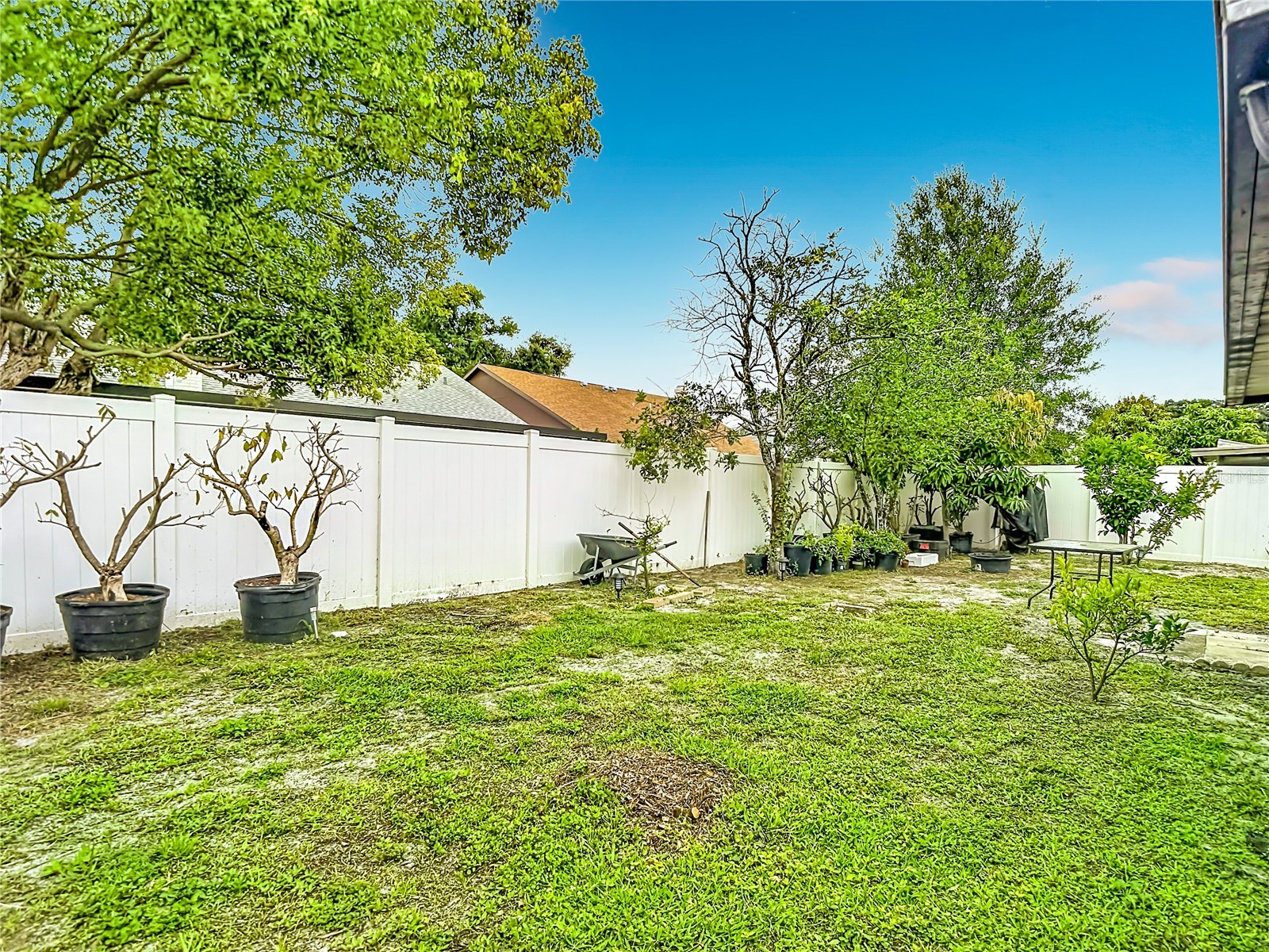 7110 Hollowell Drive Tampa FL 33634 TB8515577 image32