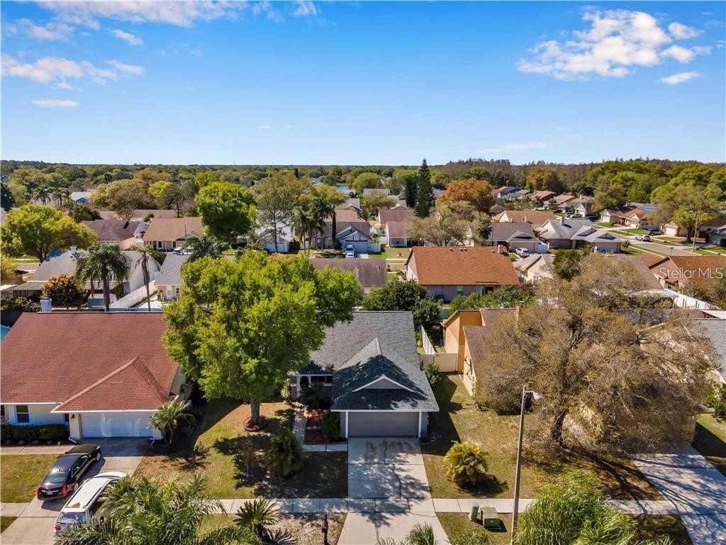 7110 Hollowell Drive Tampa FL 33634 TB8515577 image37