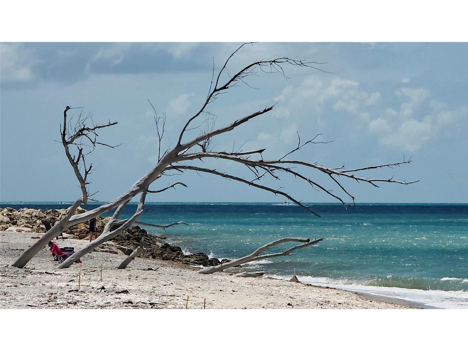 7110 Manasota Key Road Englewood FL 34223 - GULF OF MEXICO & LEMON BAY D6144131 image9