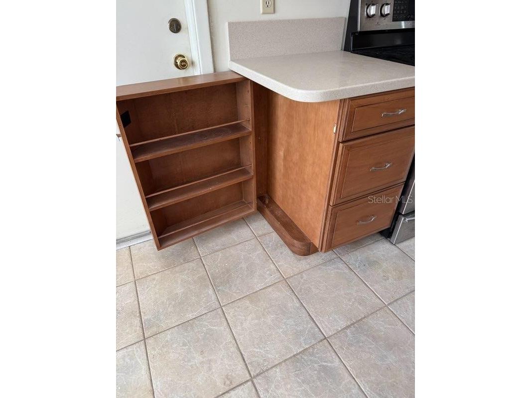 7110 Mintwood Court Tampa FL 33615 TB8514814 image11