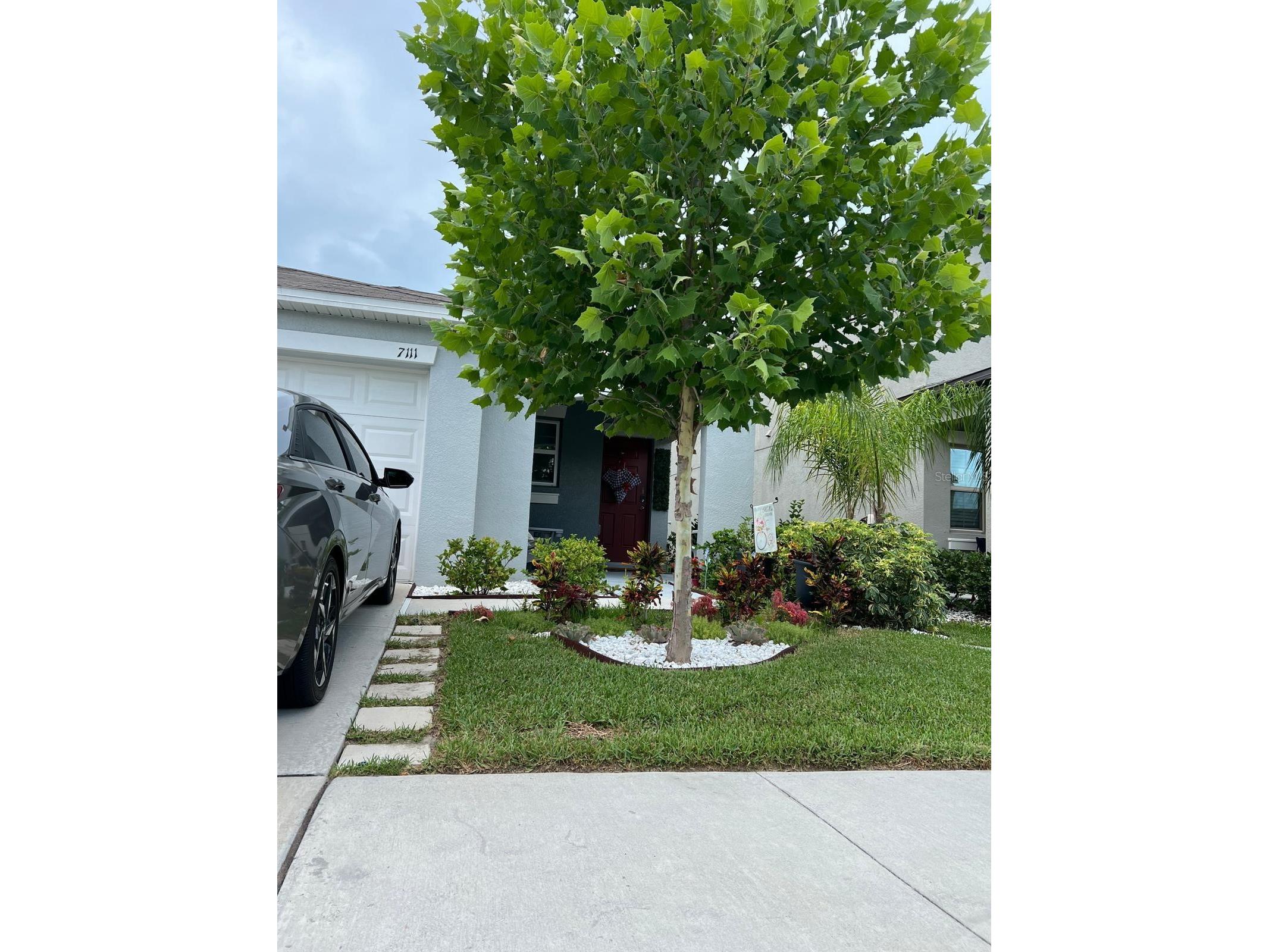 7111 Amelia Cove Court Sun City Center FL 33573 O6410434 image2