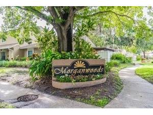 7111 Coronado Court Tampa FL 33615 T3502506 image1