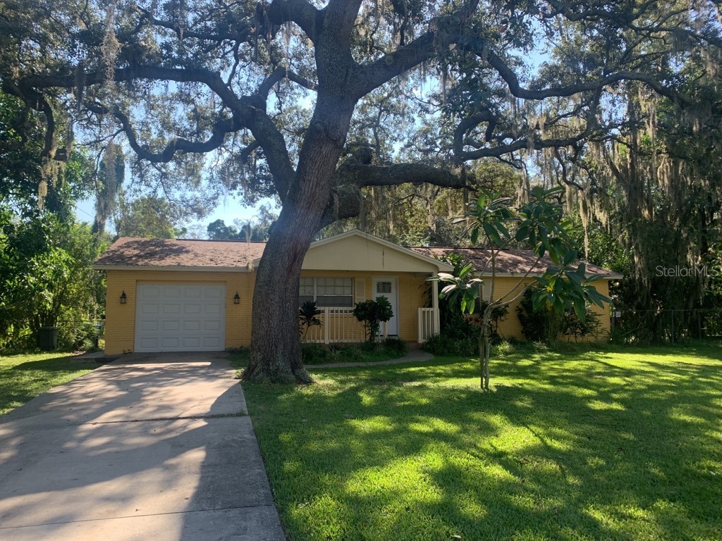 7111 N 53rd Street Tampa FL 33617 T3472877 image1