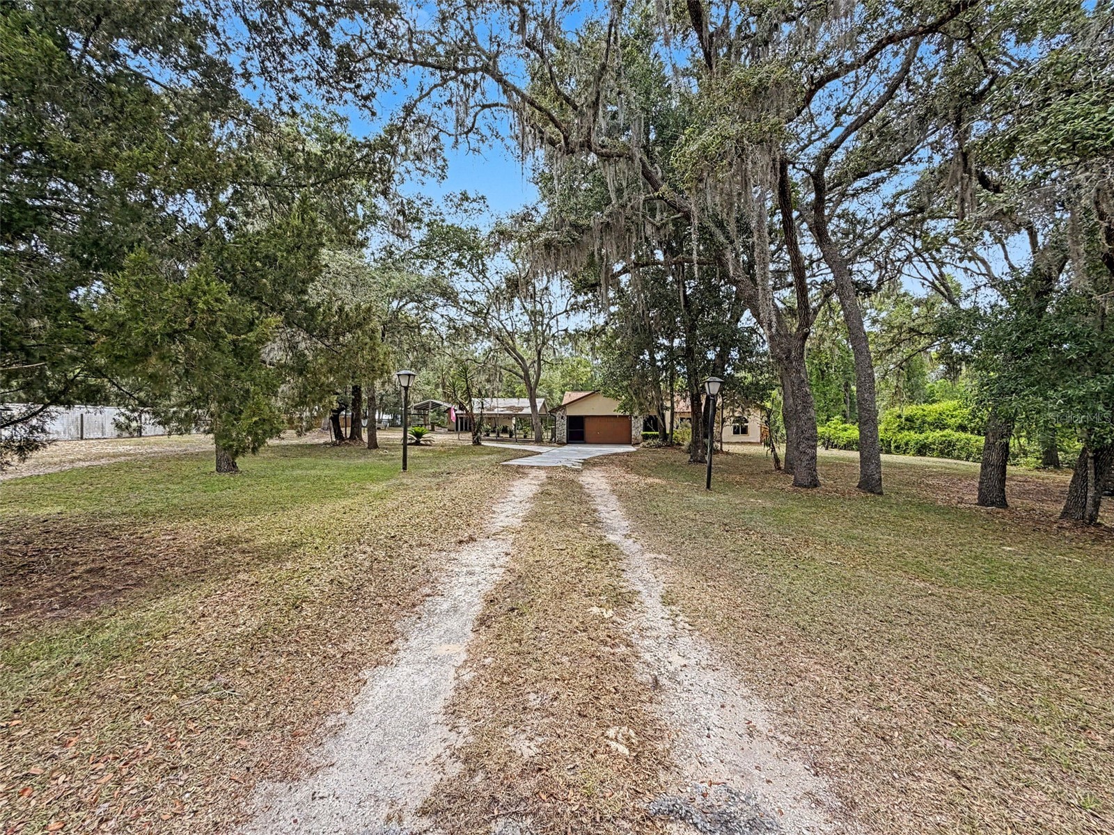 7111 Ricker Avenue Webster FL 33597 W7885452 image3