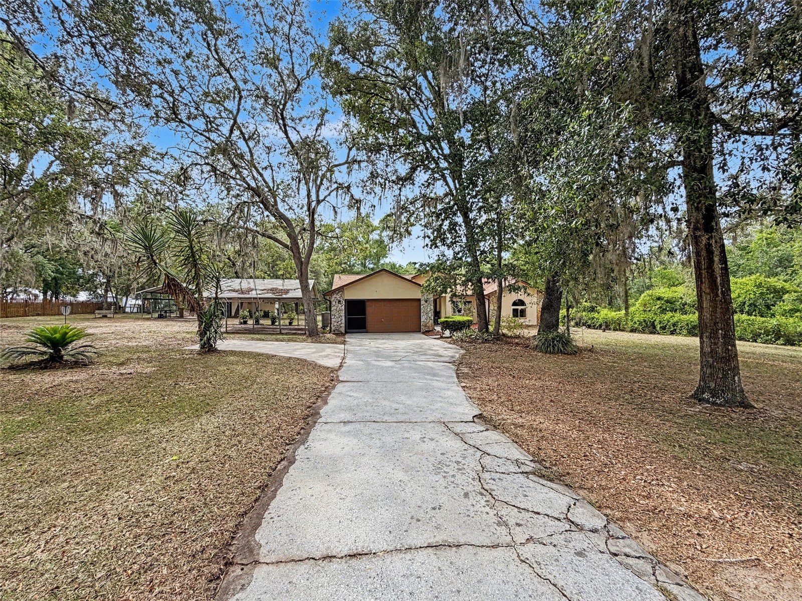 7111 Ricker Avenue Webster FL 33597 W7885452 image4