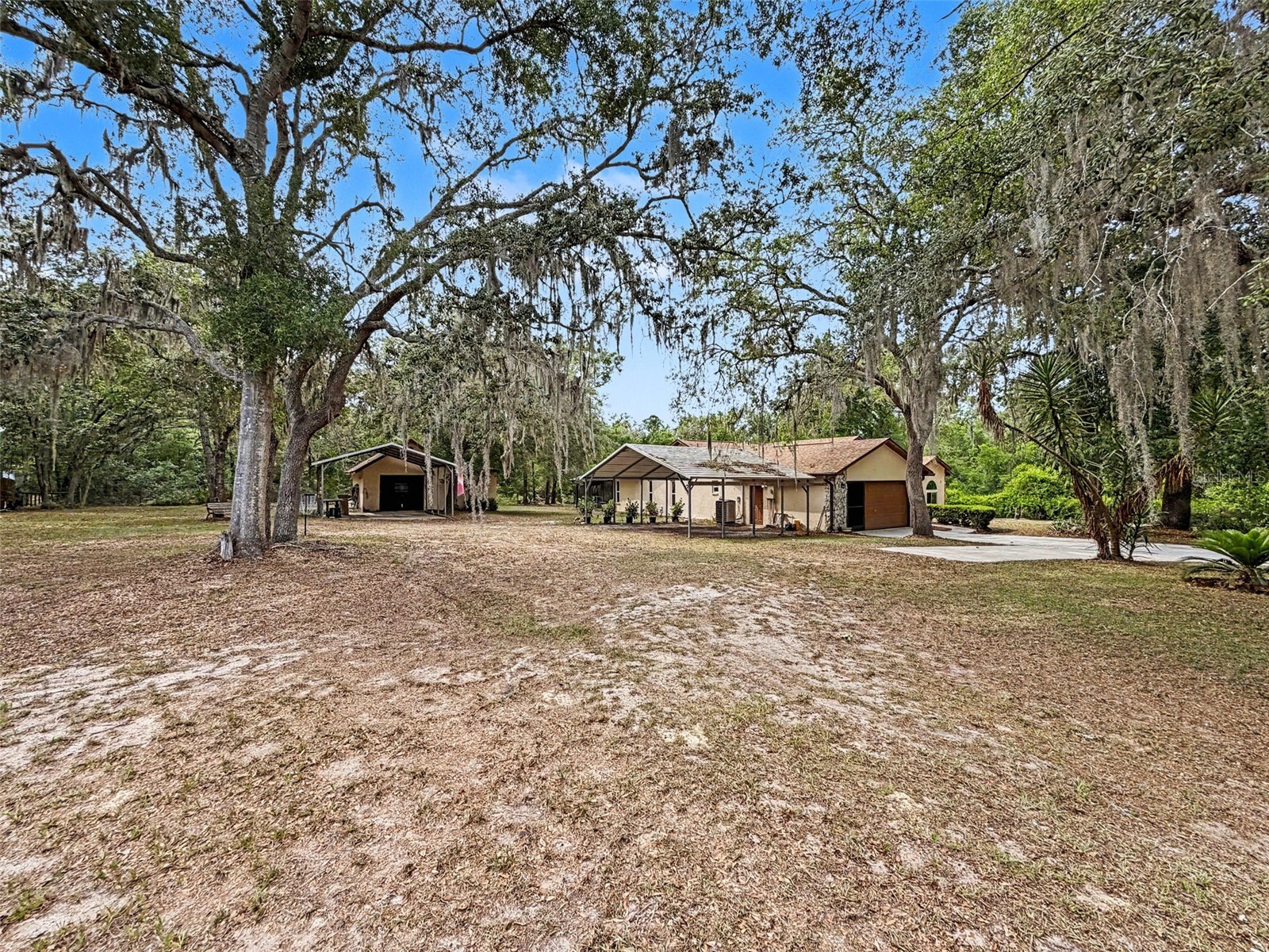 7111 Ricker Avenue Webster FL 33597 W7885452 image5