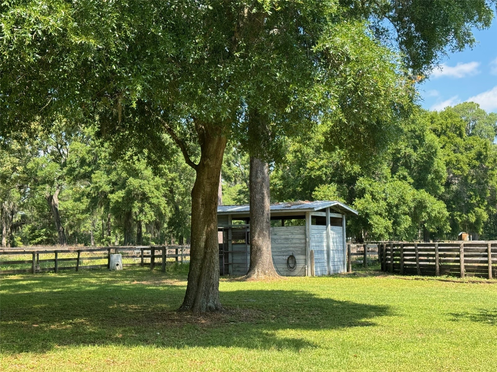 7111 SW 80th Avenue Ocala FL 34481 OM725837 image19