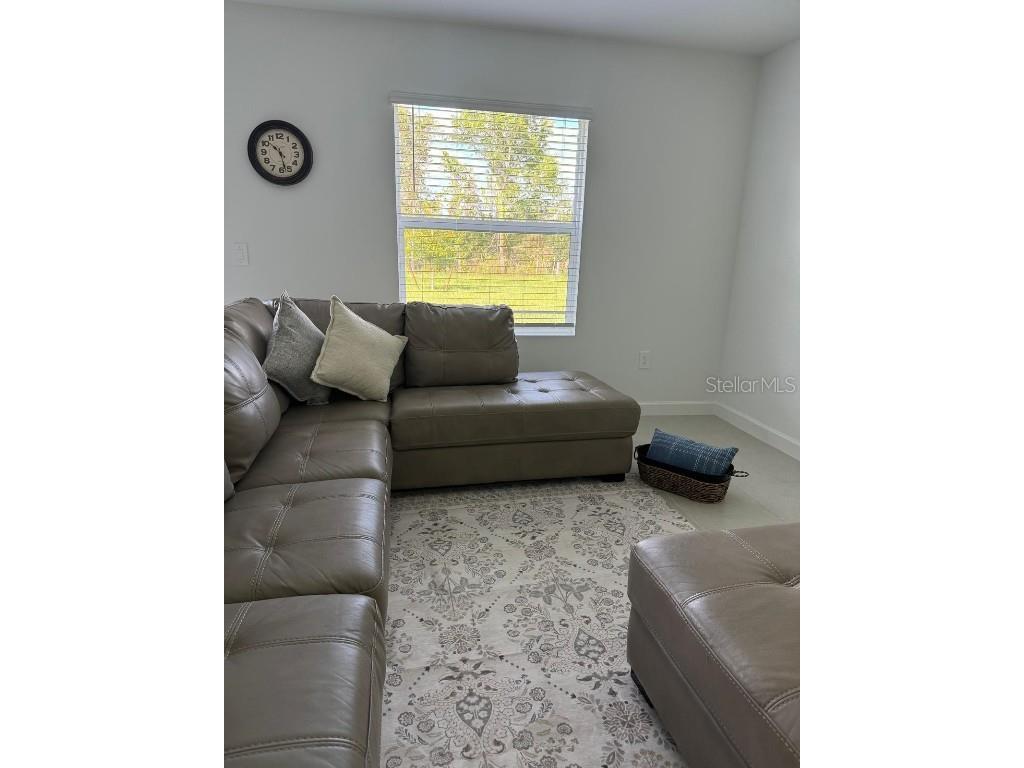 7111 Weeping Pine Drive Fort Myers FL 33966 TB8426497 image17