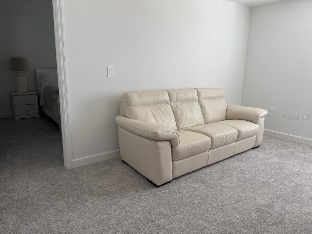 7111 Weeping Pine Drive Fort Myers FL 33966 TB8426497 image29