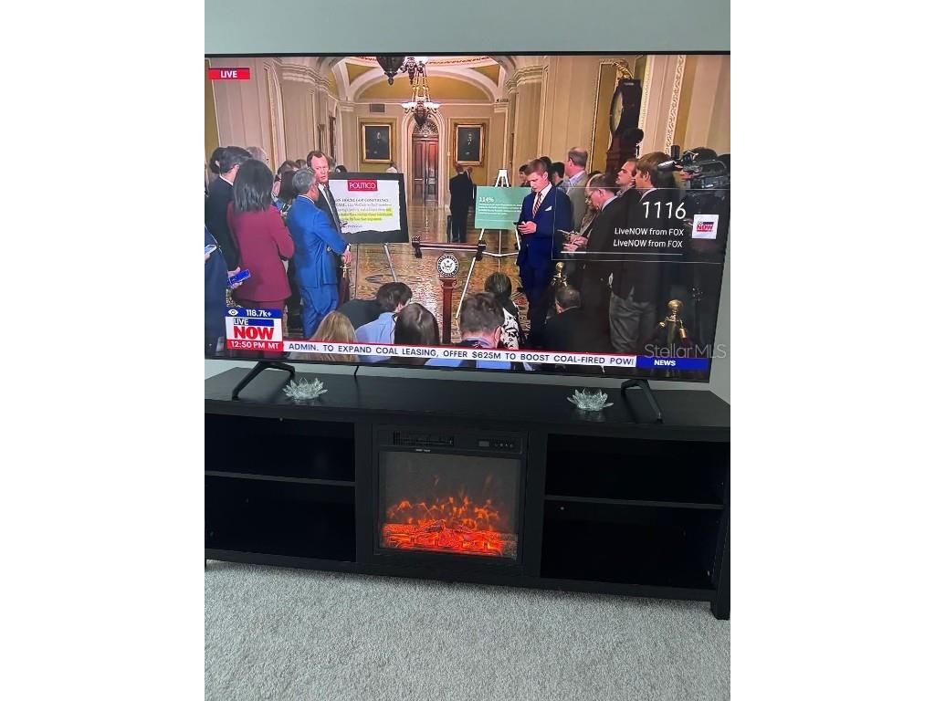 7111 Weeping Pine Drive Fort Myers FL 33966 TB8426497 image33