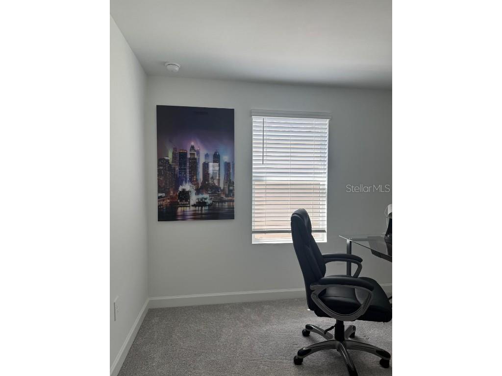 7111 Weeping Pine Drive Fort Myers FL 33966 TB8426497 image34