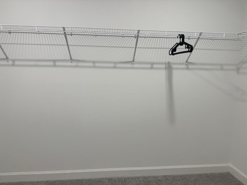 7111 Weeping Pine Drive Fort Myers FL 33966 TB8426497 image44