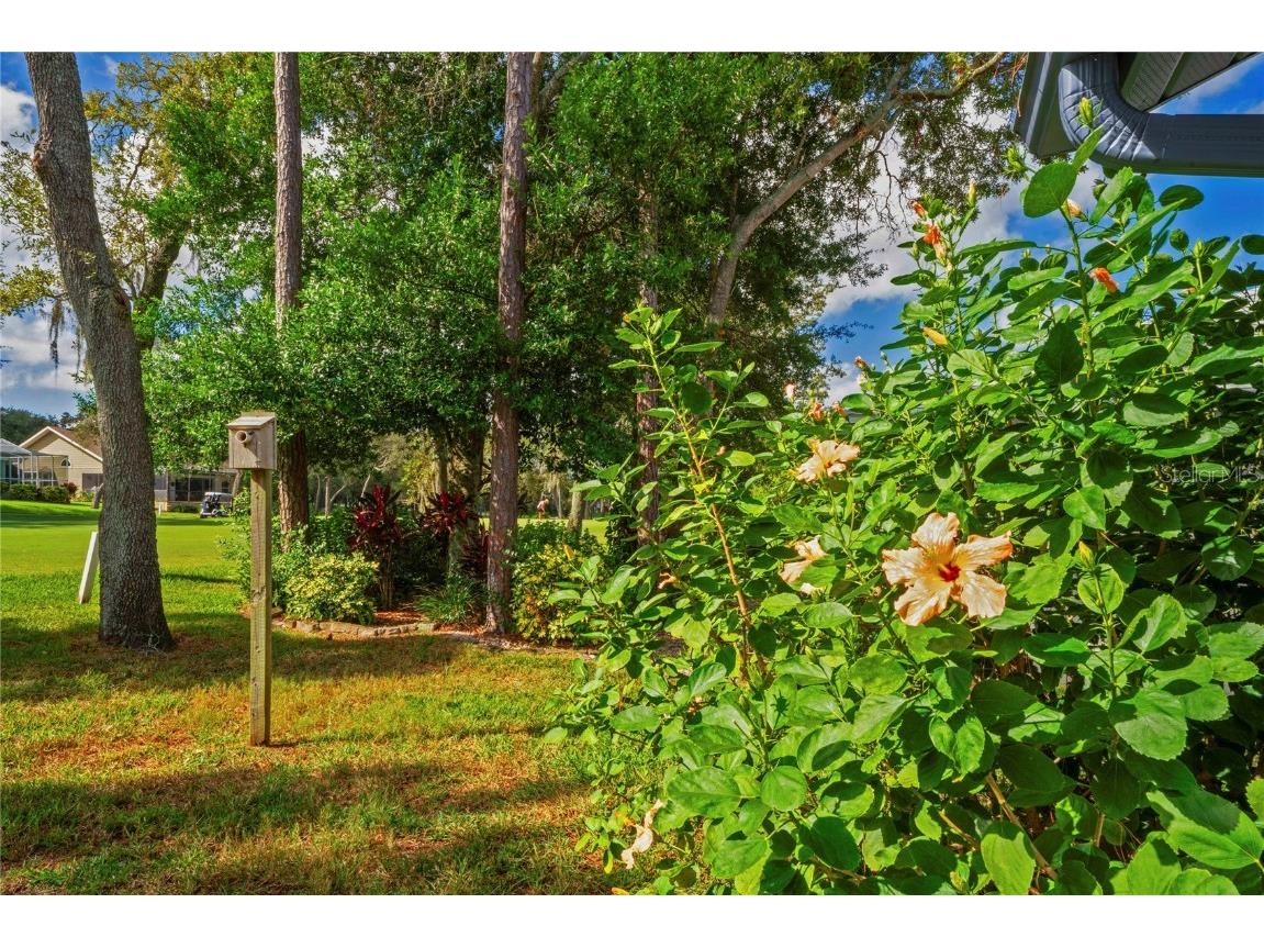 7112 Green Abbey Way Spring Hill FL 34606 TB8436959 image42