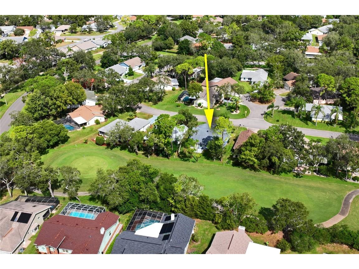 7112 Green Abbey Way Spring Hill FL 34606 TB8436959 image44