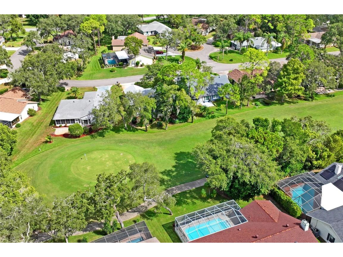 7112 Green Abbey Way Spring Hill FL 34606 TB8436959 image59