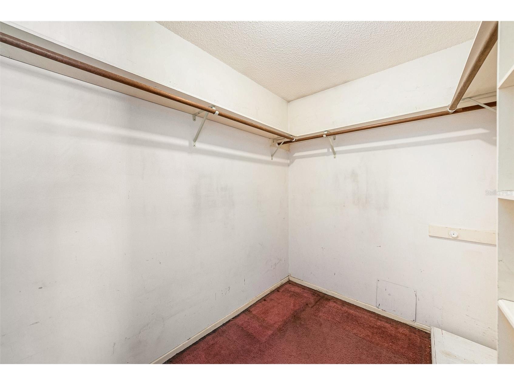 7112 Hollowell Drive Tampa FL 33634 TB8486682 image18