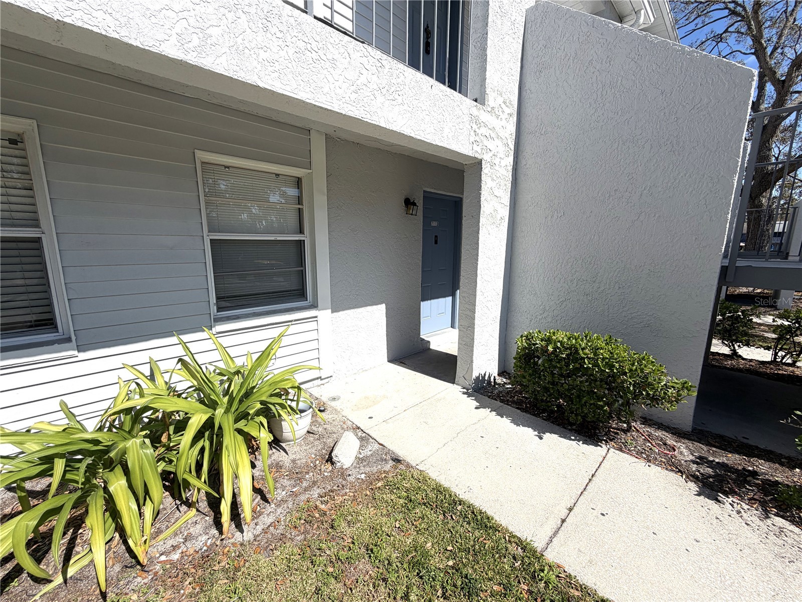 7113 E Bank Drive #7113 Tampa FL 33617 O6389838 image14