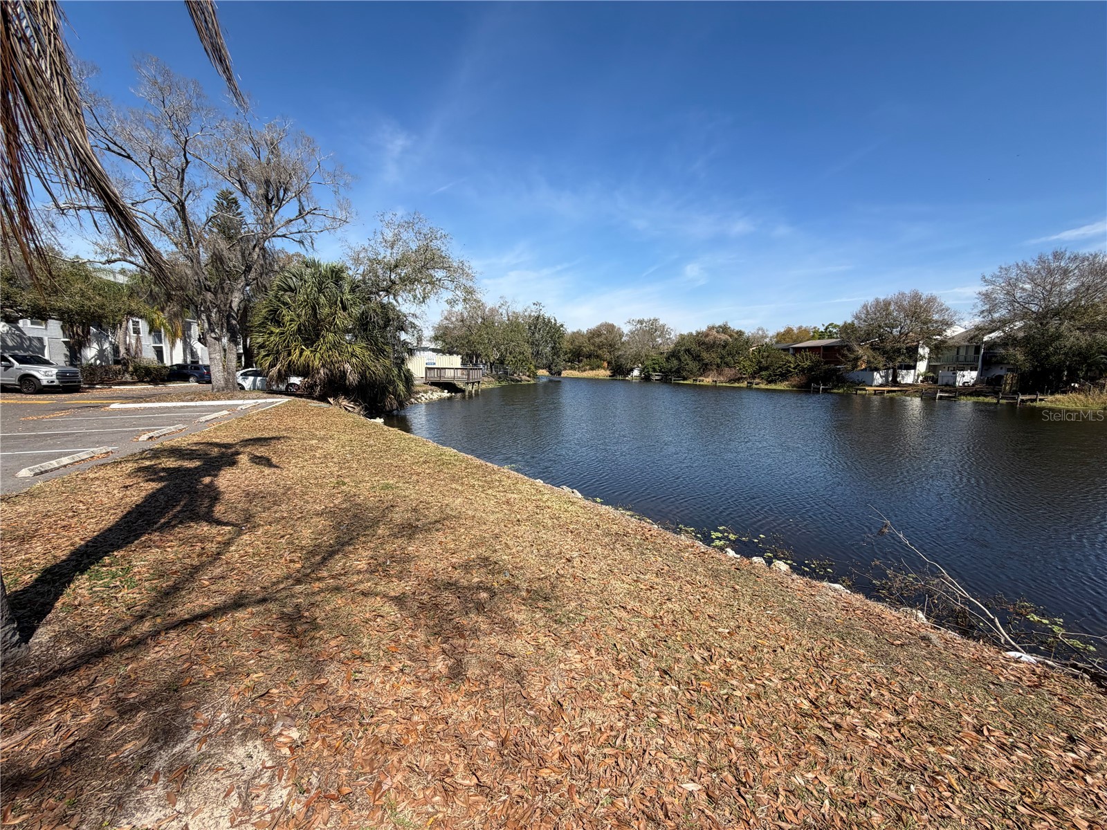 7113 E Bank Drive #7113 Tampa FL 33617 O6389838 image15