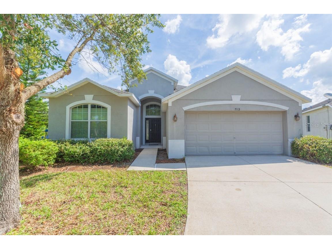 7113 Forest Mere Drive Riverview FL 33578 T3541814 image1