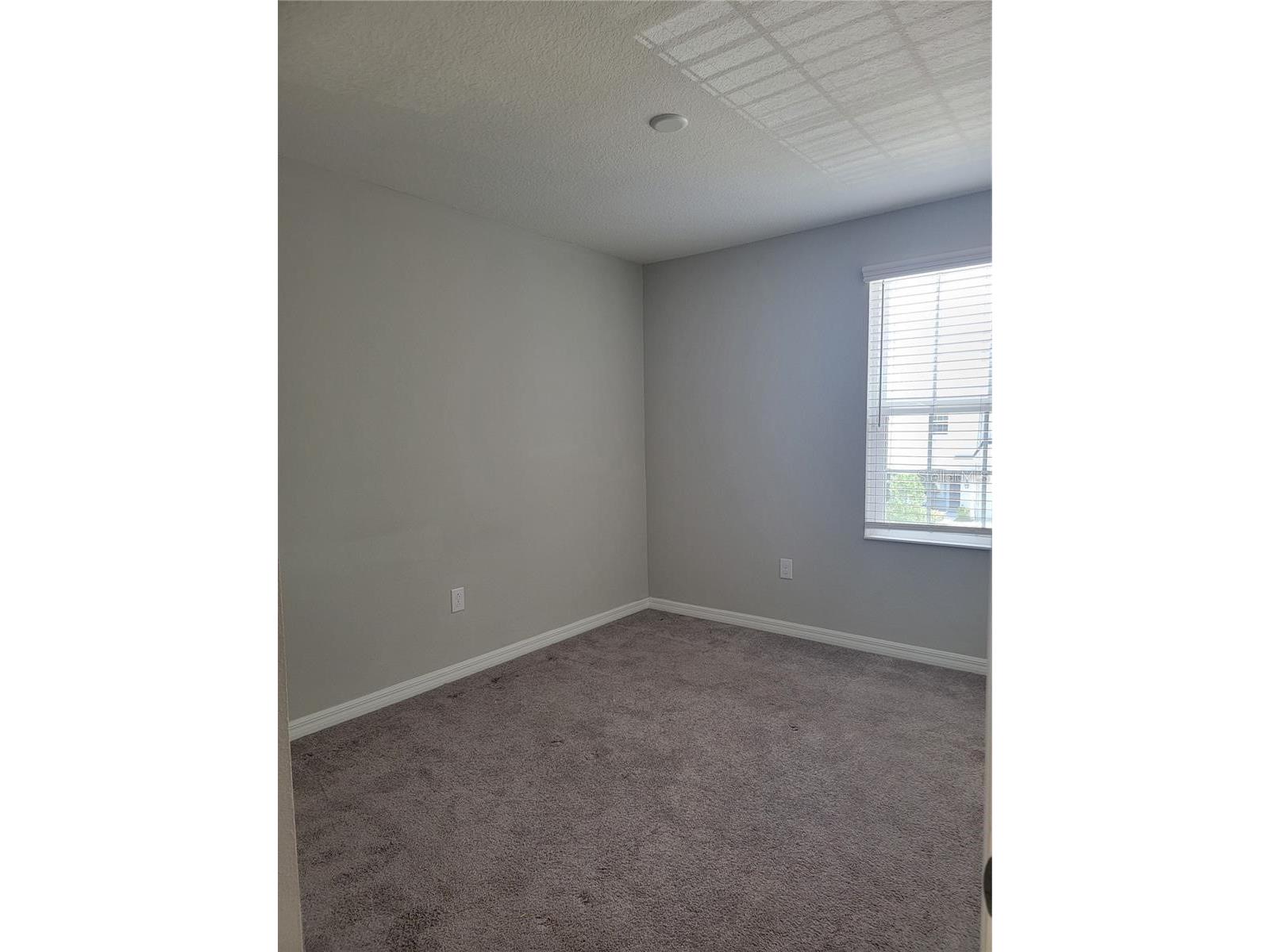 7113 Grand Elm Drive Riverview FL 33578 TB8500715 image12