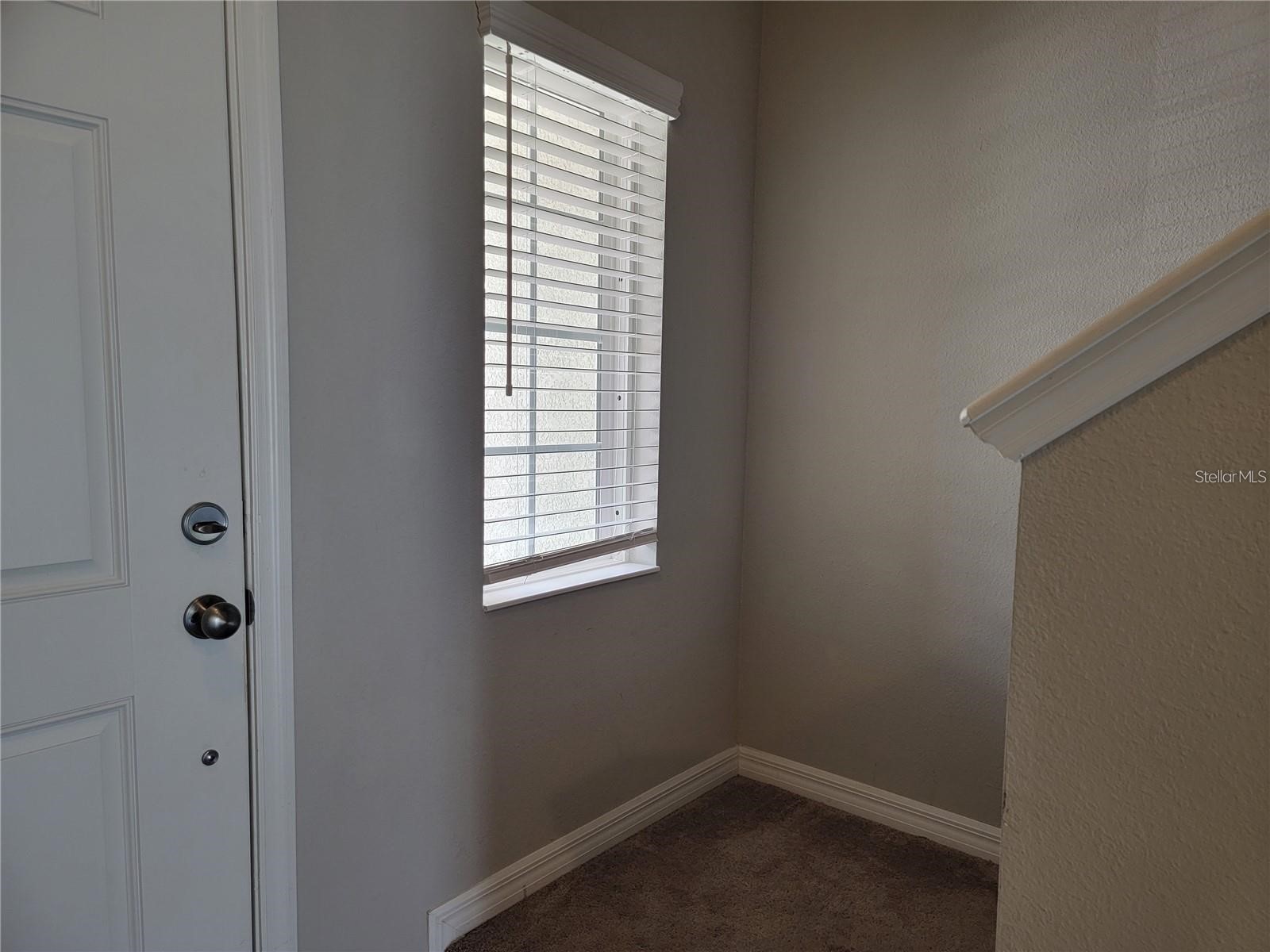 7113 Grand Elm Drive Riverview FL 33578 TB8500715 image3