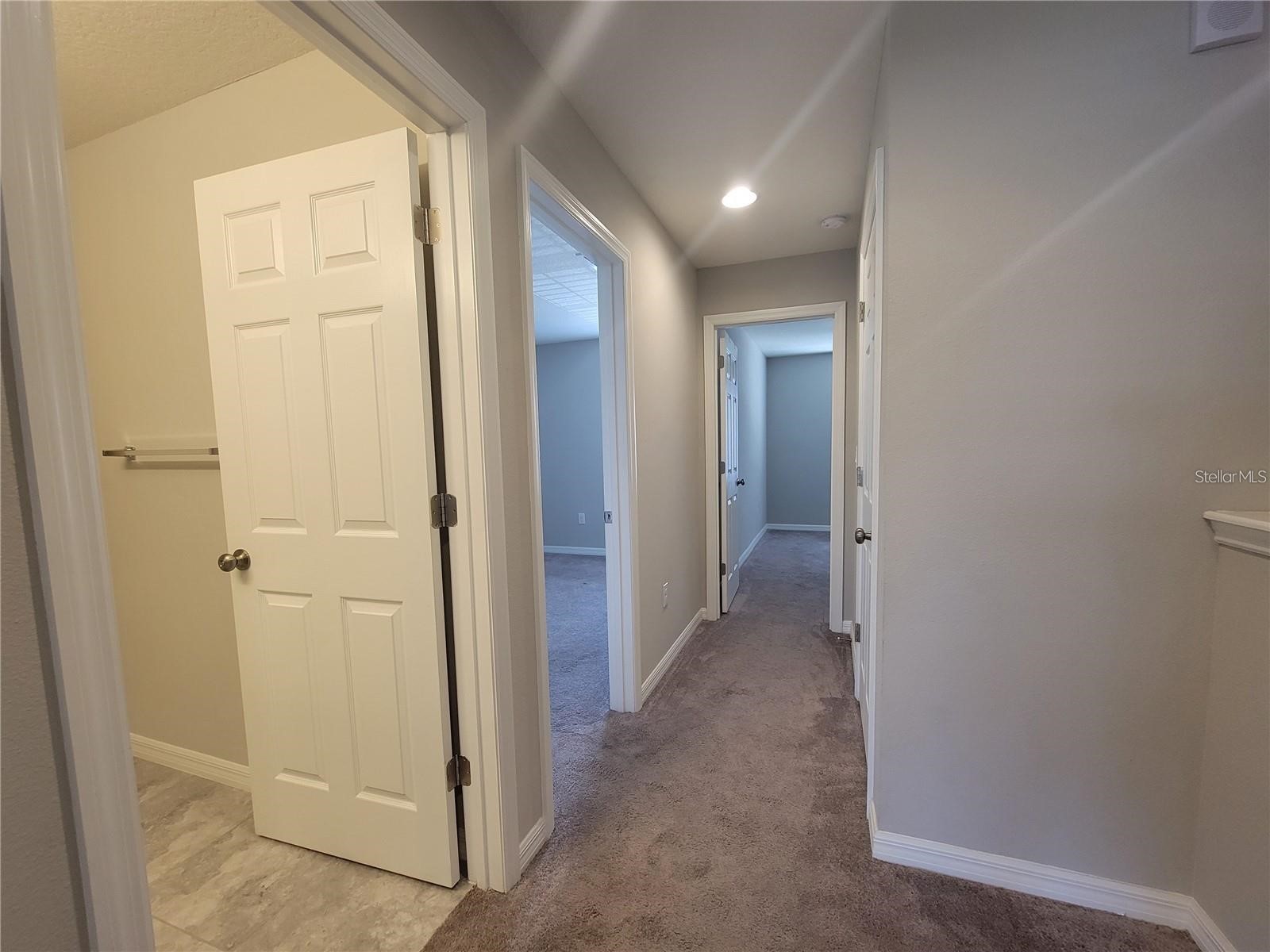 7113 Grand Elm Drive Riverview FL 33578 TB8500715 image8