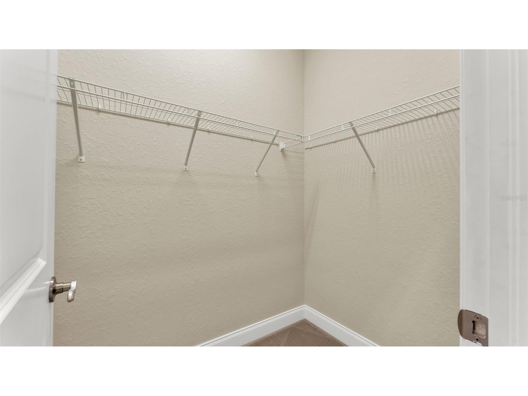 7113 Highlands Creek Avenue Lakeland FL 33813 L4959746 image31