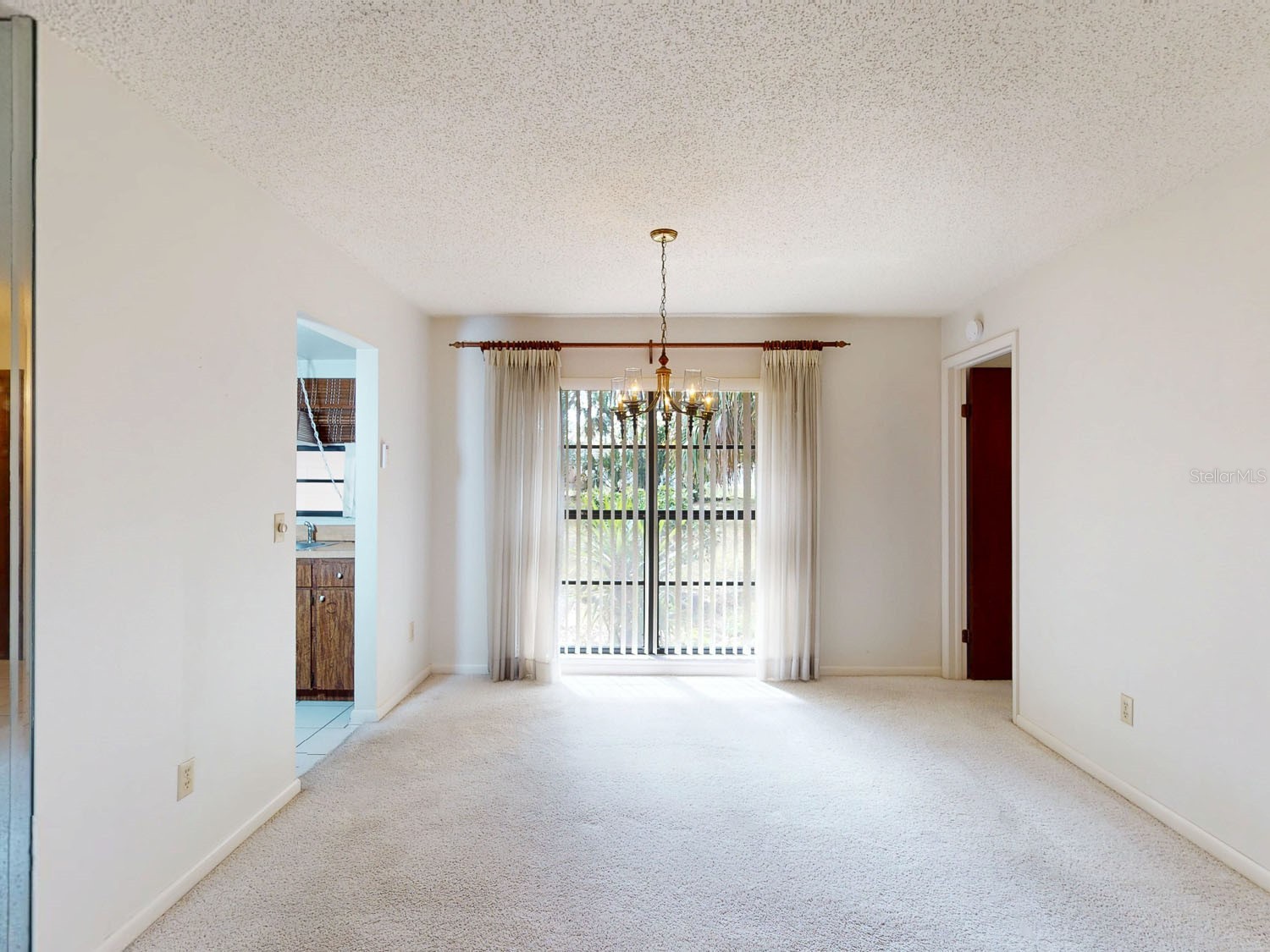 7113 Lauder Place Tampa FL 33617 TB8481544 image12