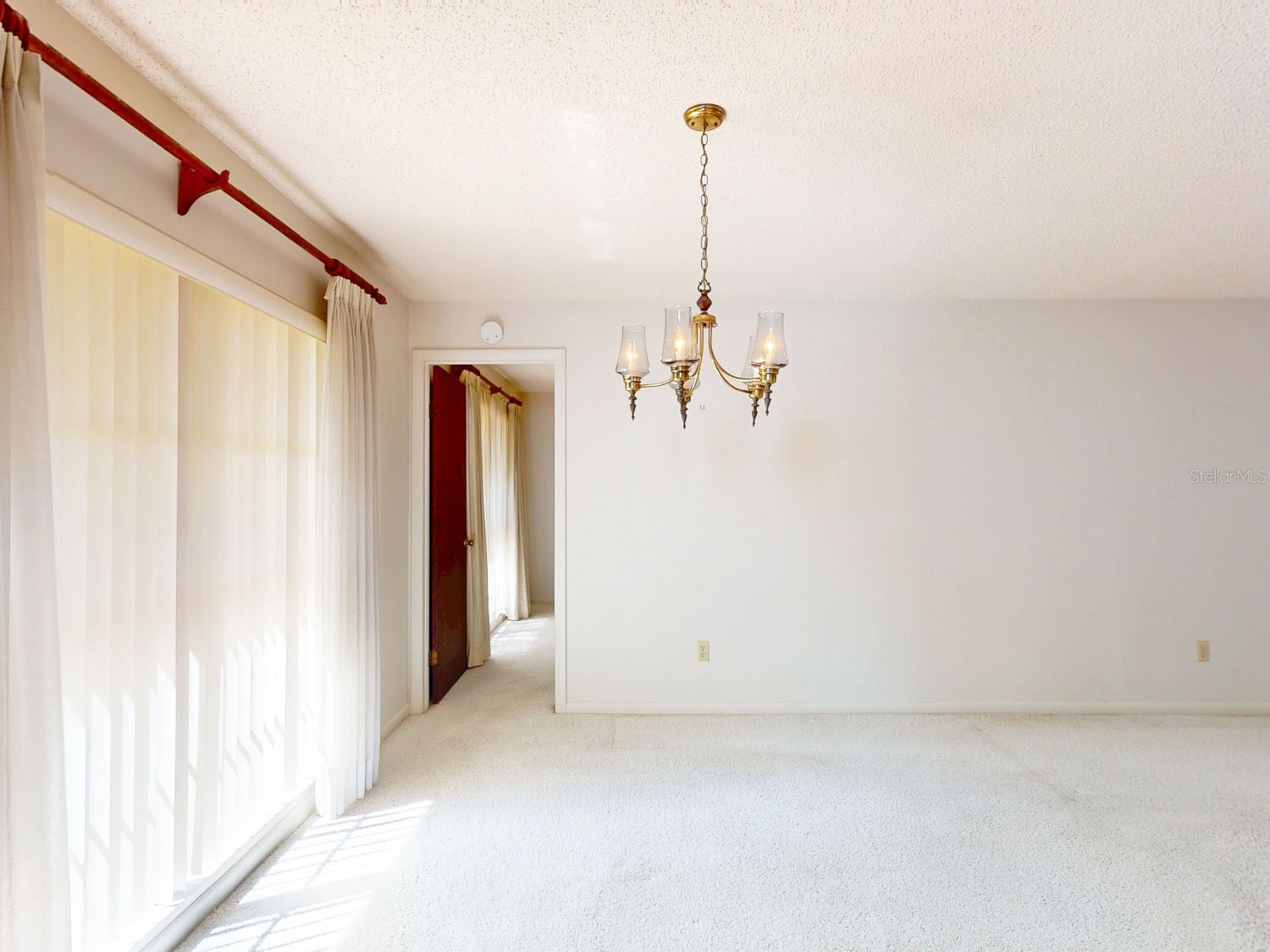 7113 Lauder Place Tampa FL 33617 TB8481544 image13