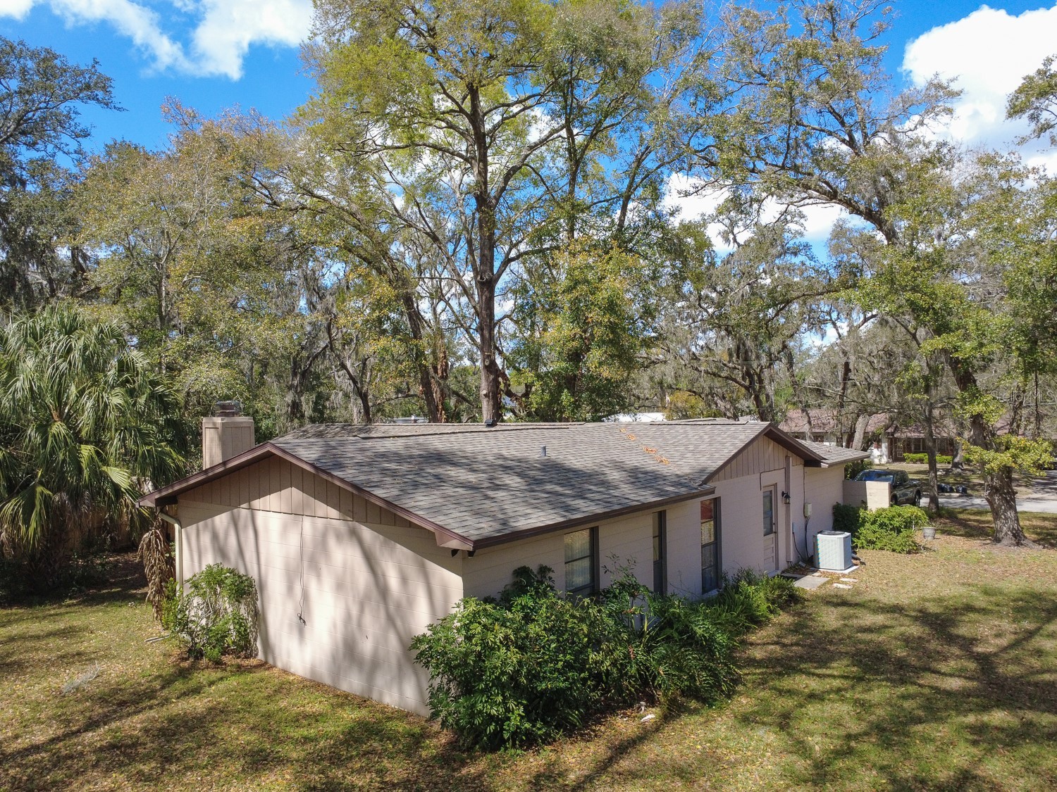 7113 Lauder Place Tampa FL 33617 TB8481544 image3