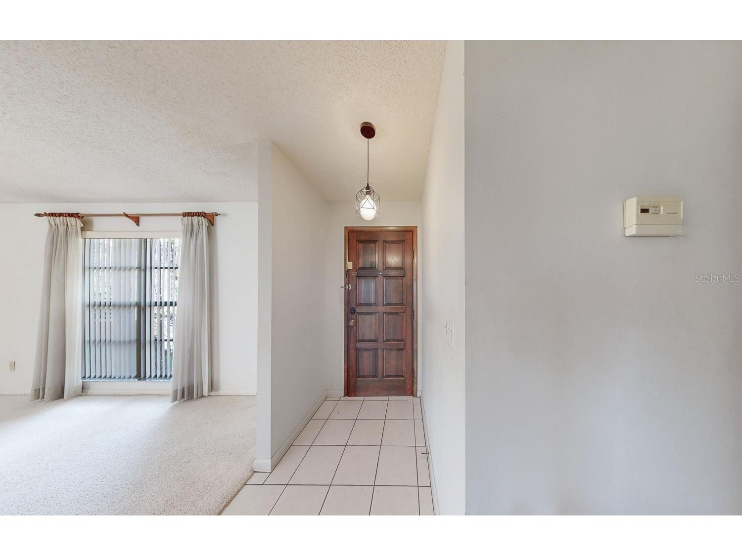 7113 Lauder Place Tampa FL 33617 TB8481544 image5