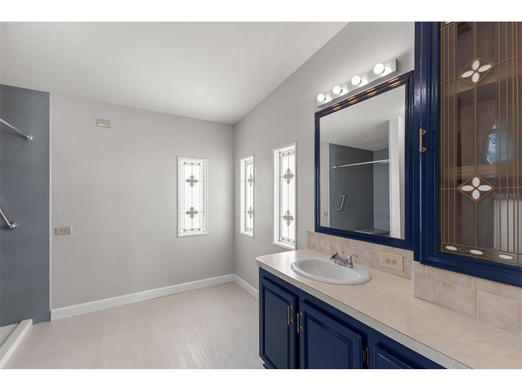 7113 Mount Piney Road NE #719 Saint Petersburg FL 33702 - TAMPA BAY TB8464122 image21