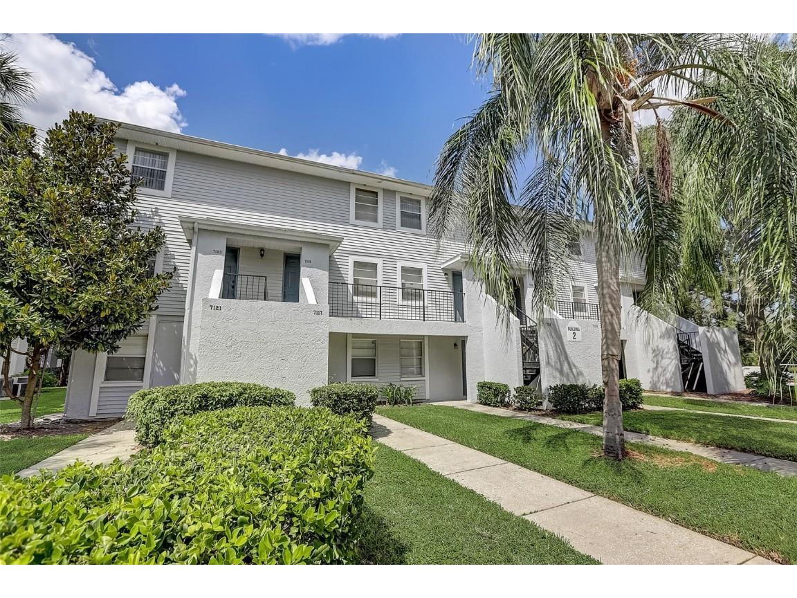 7115 E Bank Drive #203 Tampa FL 33617 - HILLSBOROUGH RIVER T3472379 image1
