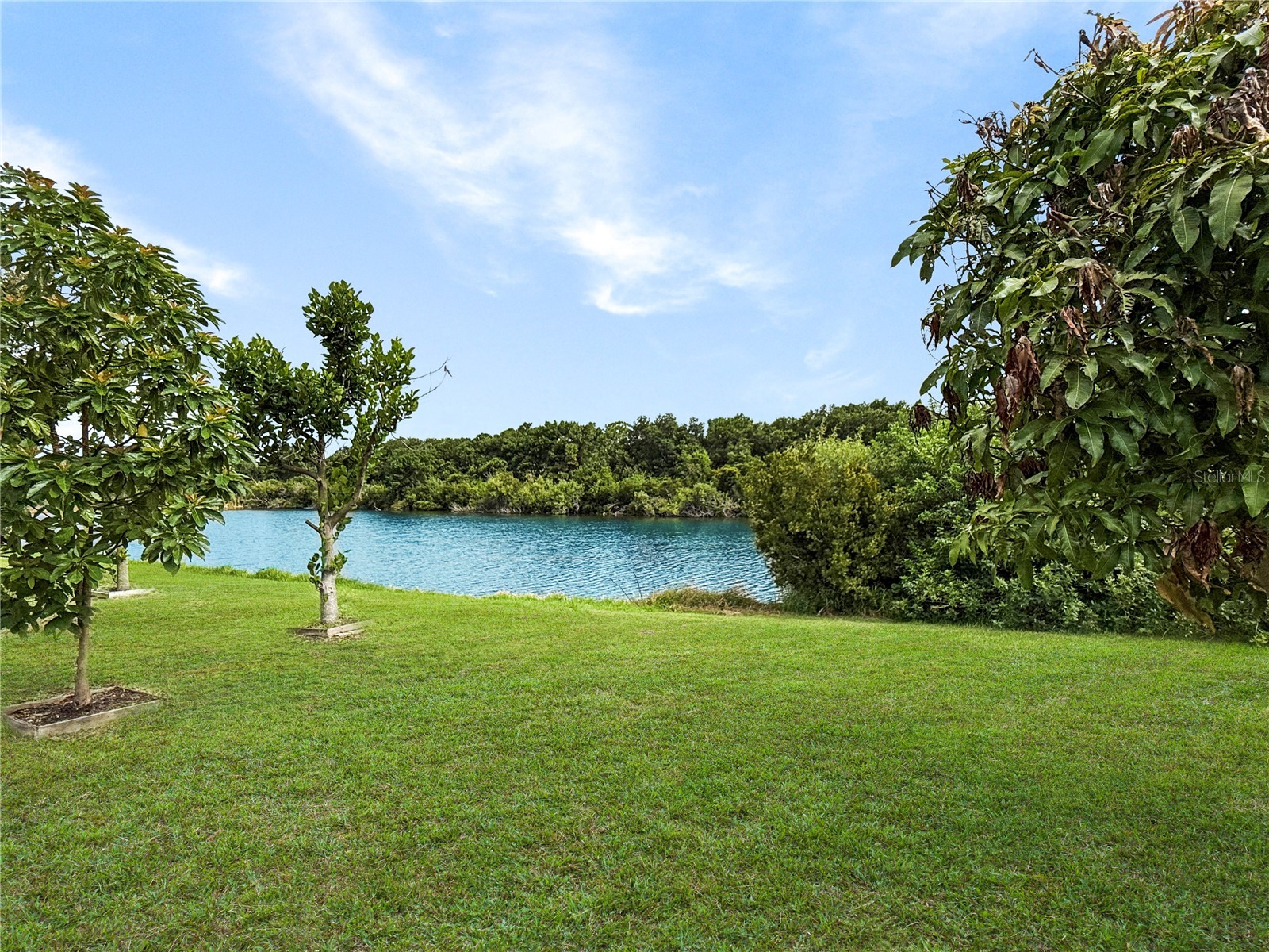7115 Forest Mere Drive Riverview FL 33578 TB8514681 image25
