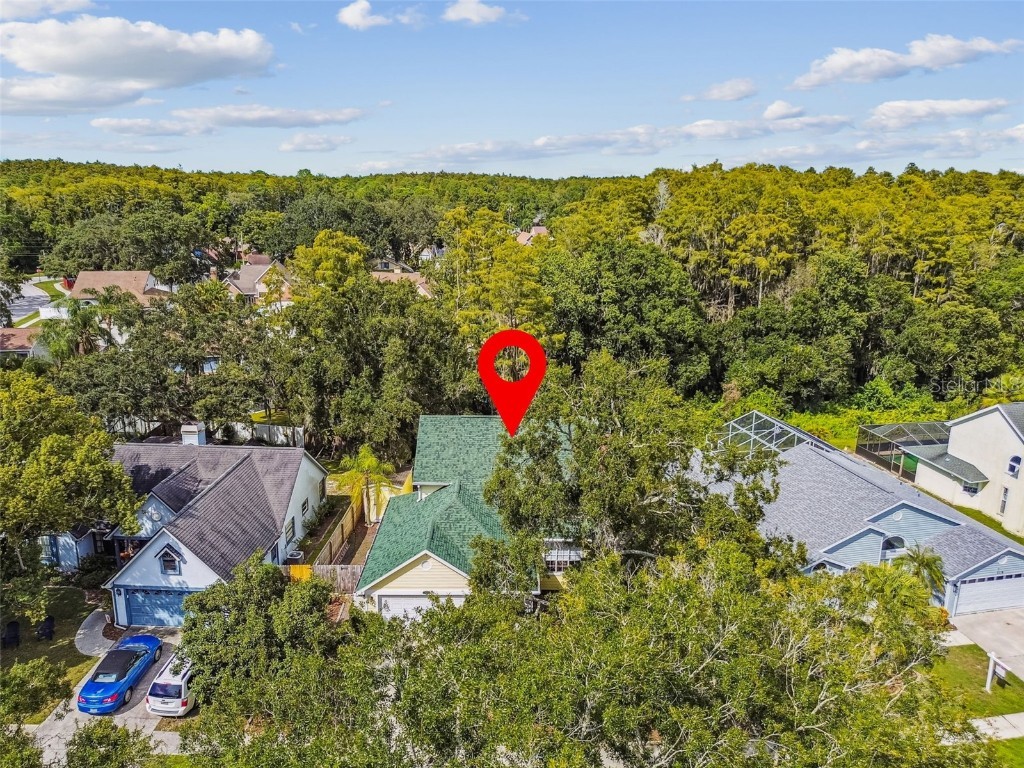 7115 Hummingbird Lane New Port Richey FL 34655 W7879205 image64