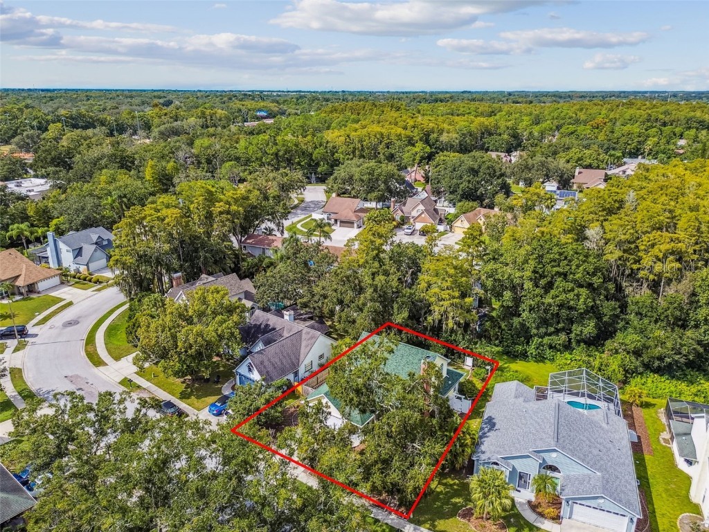 7115 Hummingbird Lane New Port Richey FL 34655 W7879205 image67