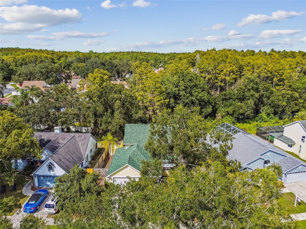 7115 Hummingbird Lane New Port Richey FL 34655 W7879205 image69