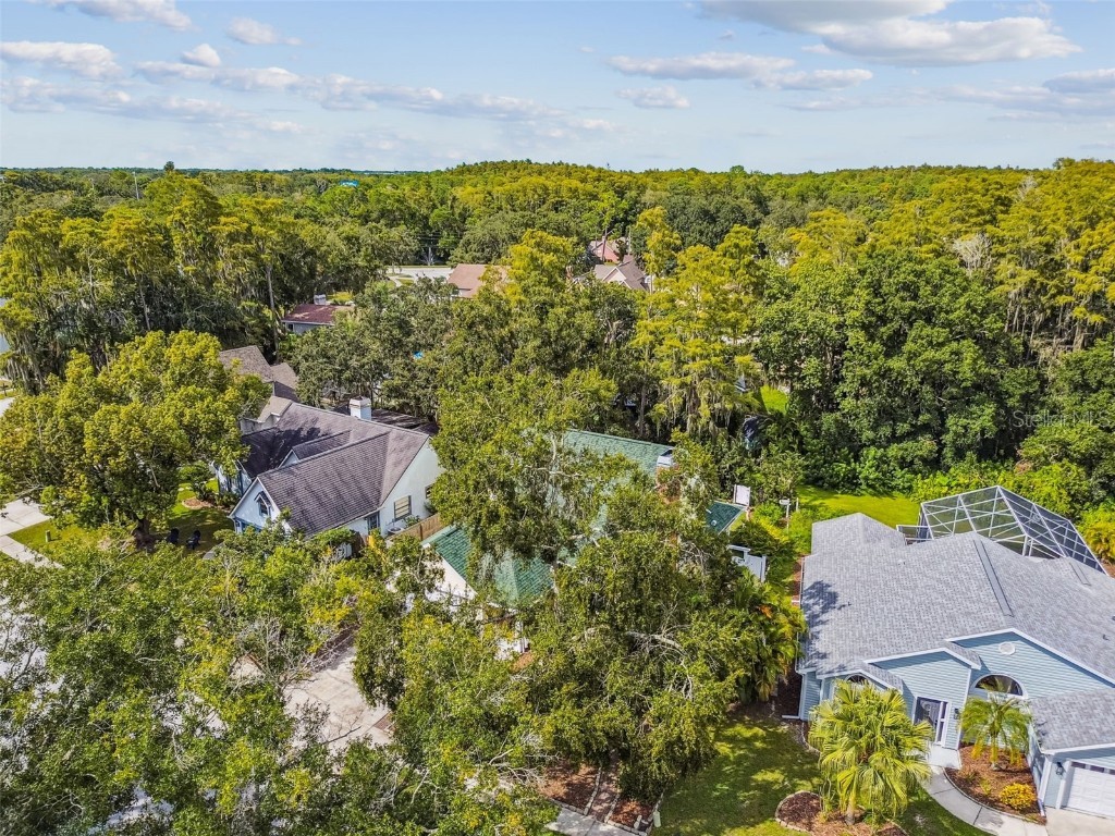 7115 Hummingbird Lane New Port Richey FL 34655 W7879205 image70