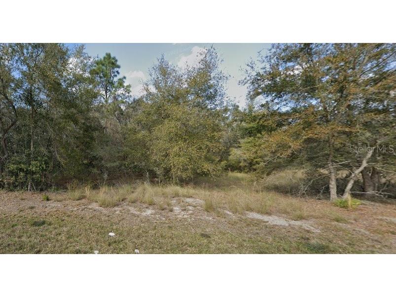 7116 Alloy Street Webster FL 33597 O6234520 image1