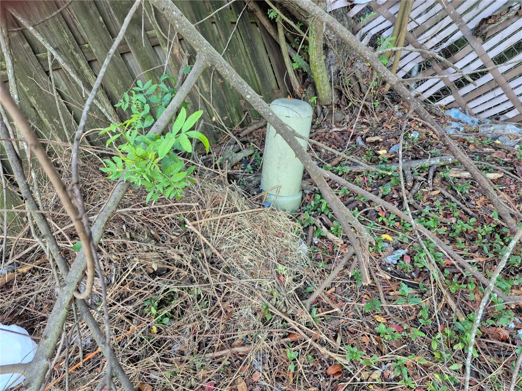 7116 Dipaola Drive Hudson FL 34667 W7881354 image6