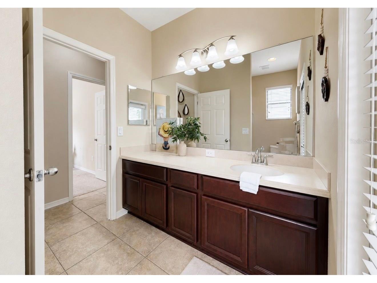 7116 Harvest Glen Lane Riverview FL 33578 TB8496065 image41