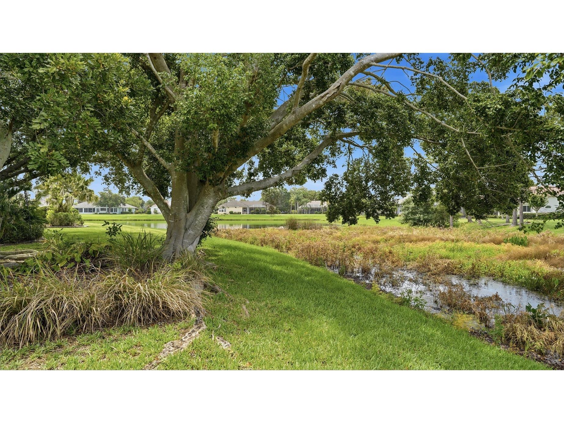7117 Dornough Lane Bradenton FL 34202 A4694357 image33