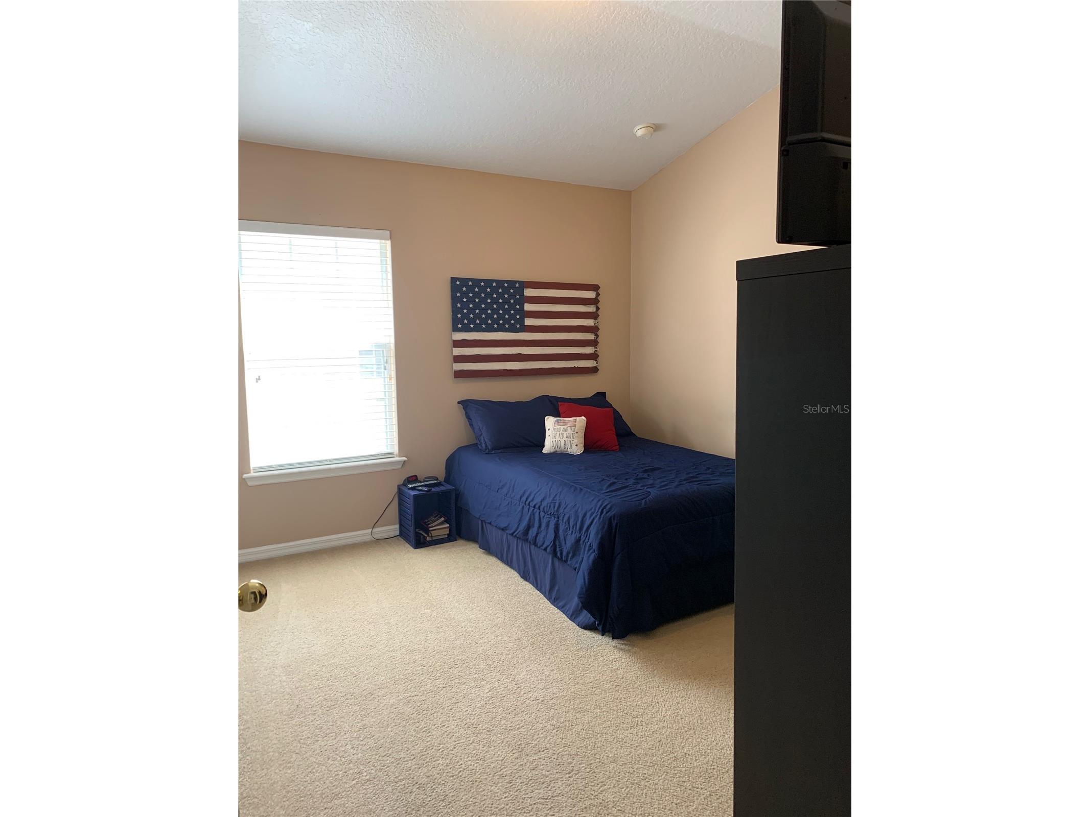 7117 Harmony Square Drive S #7117 Harmony FL 34773 R4910851 image14