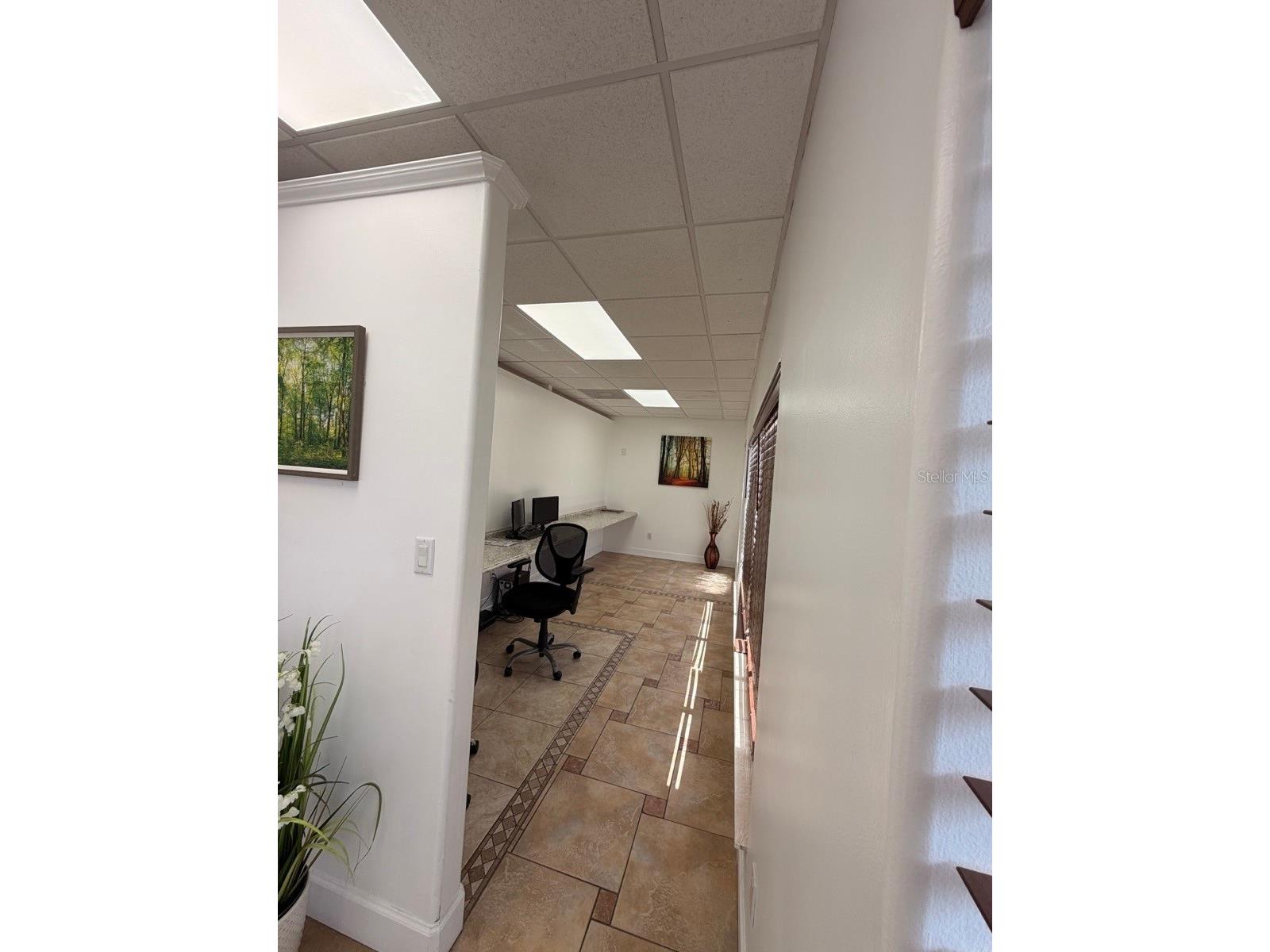 7117 N Armenia Avenue Tampa FL 33604 TB8508627 image18