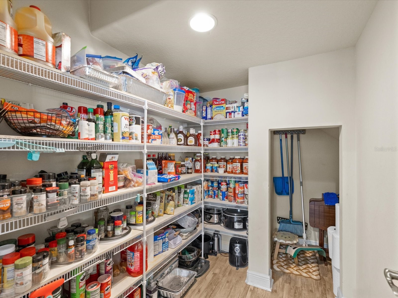 7117 Park Tree Drive Tampa FL 33625 TB8532095 image13