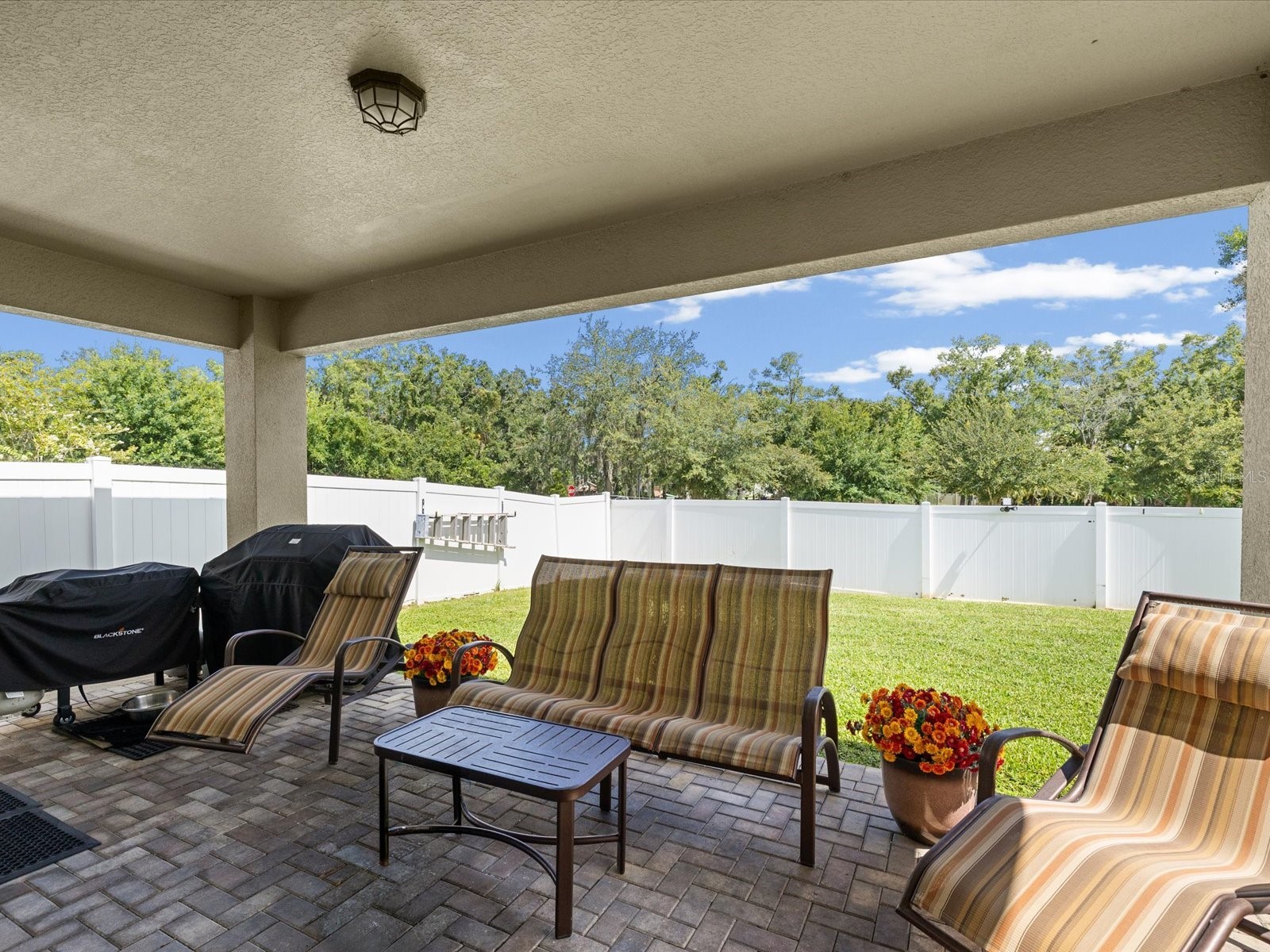 7117 Park Tree Drive Tampa FL 33625 TB8532095 image32
