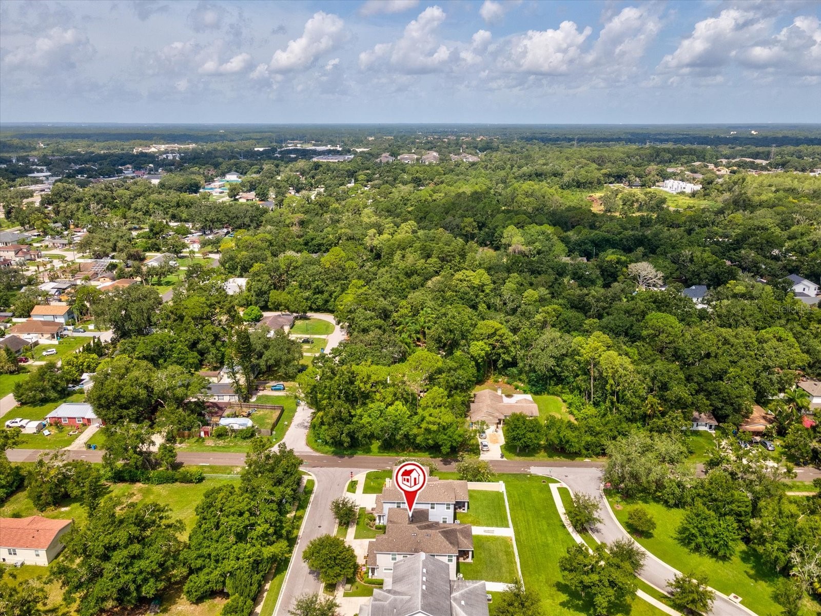 7117 Park Tree Drive Tampa FL 33625 TB8532095 image49