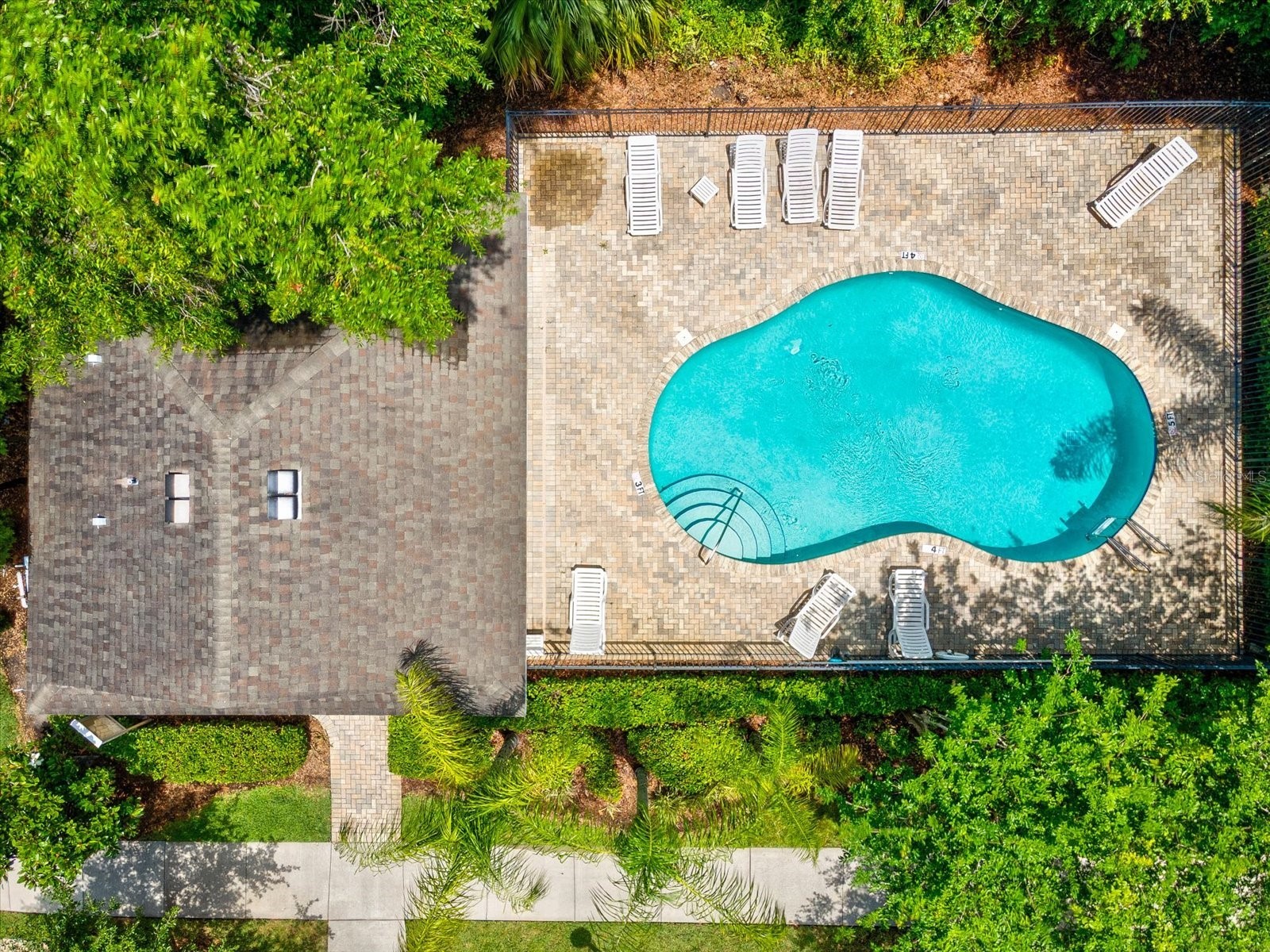7117 Park Tree Drive Tampa FL 33625 TB8532095 image60
