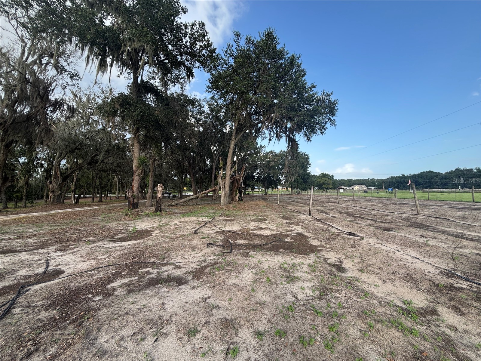 7117 S County Line Road Plant City FL 33567 TB8411243 image10