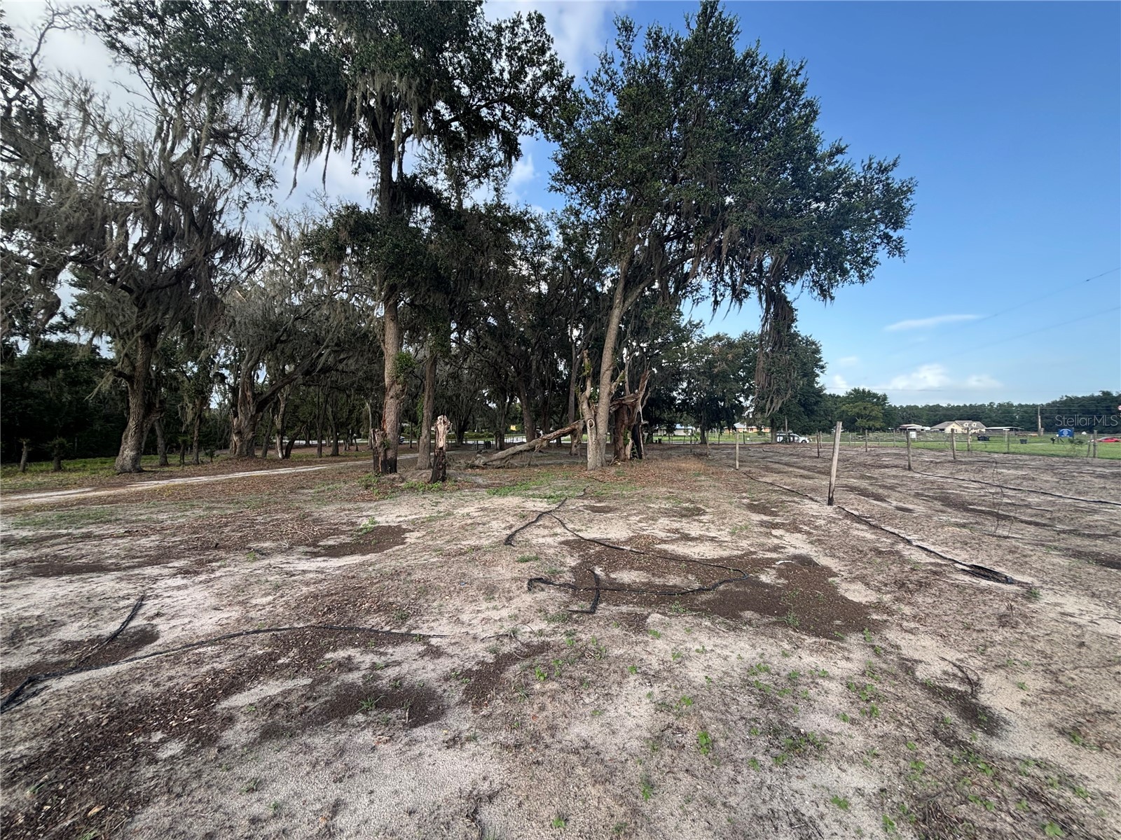 7117 S County Line Road Plant City FL 33567 TB8411243 image13